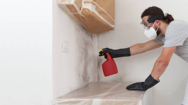 Professional Basement Mold Remediation technician working in Stewartstown, PA